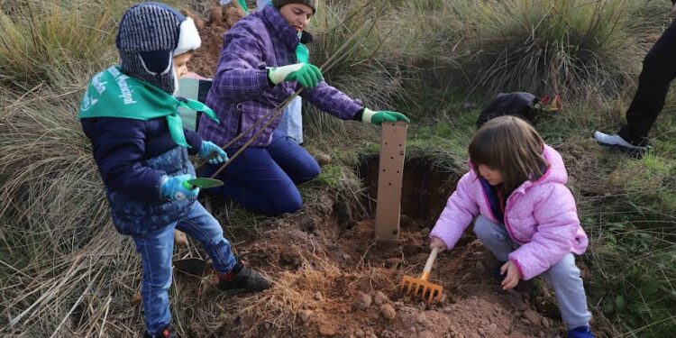 Éxito de participación y buen ambiente en la primera jornada de plantación del futuro bosque municipal
