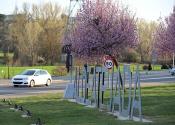 La plantación de los primeros 500 árboles inicia la creación del gran Bosque Municipal de más de 10 hectáreas
