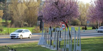 La plantación de los primeros 500 árboles inicia la creación del gran Bosque Municipal de más de 10 hectáreas