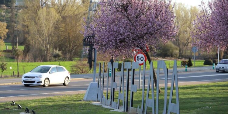 La plantación de los primeros 500 árboles inicia la creación del gran Bosque Municipal de más de 10 hectáreas