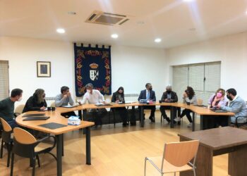 El pleno aprueba la subida del cheque bebé a 300 euros y congela las ordenanzas fiscales para el próximo año