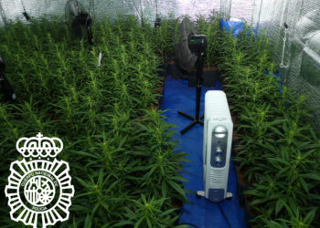 Detenido un joven tras encontrar 650 plantas de marihuana en el polígono de Los Villares