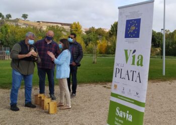 El ‘cernícalo primilia’ tendrá más presencia en la fauna de la ciudad