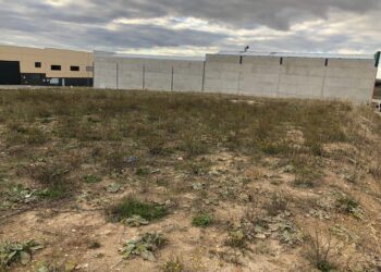 La construcción de 66 casetas de herramientas y aseos completarán los servicios para los huertos ecológicos