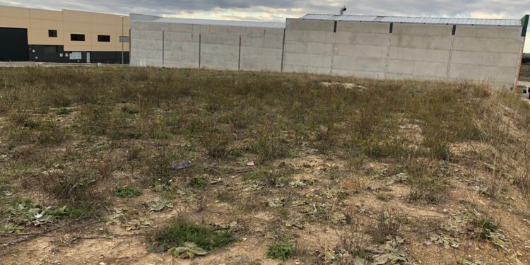 La construcción de 66 casetas de herramientas y aseos completarán los servicios para los huertos ecológicos