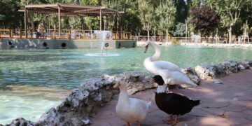 Las fuertes rachas de viento obligan a cerrar parques y la zona arbolada de la Ciudad Deportiva de La Aldehuela