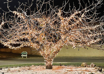 Los municipios iluminan sus calles con el color de las luces que anuncian la Navidad