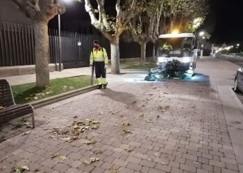 Salamanca aprovecha las hojas recogidas por los servicios de limpieza como abono para parques y jardines