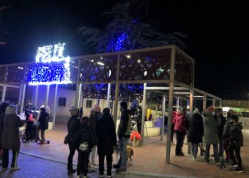 Los vecinos decoran el gran árbol de Navidad de la Plaza San Marcos para iniciar las fiestas