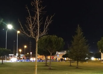 Un camión pierde parte de su carga en la rotonda del Polígono del Montalvo