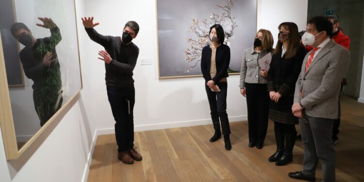 Los bonsáis, protagonistas de la expo fotográfica ‘Momentum’