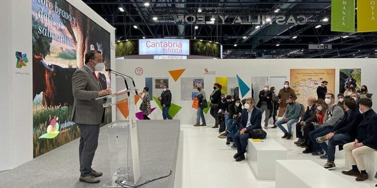 Experiencias únicas en torno a la dehesa salmantina y el toro bravo