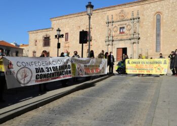 Manifestación en la sede del Psoe para pedir la bajada del IVA de los sectores más afectados