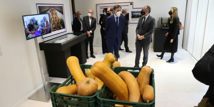 La expo ’50 años de Mercasalamanca’ recorre la trayectoria del complejo mayorista agroalimentario durante su medio siglo de vida