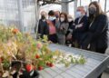 Isabel Rodríguez: «Castilla y León va a jugar un papel muy importante en el desarrollo de la industria agroalimentaria y el Gobierno quiere que así sea»