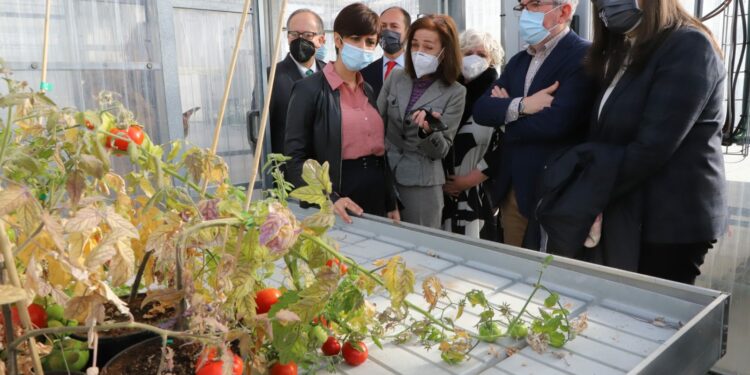 Isabel Rodríguez: «Castilla y León va a jugar un papel muy importante en el desarrollo de la industria agroalimentaria y el Gobierno quiere que así sea»