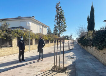 Finalizan las obras para la reordenación de la calle Soria de Albahonda I