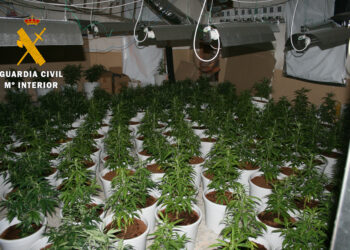 Desarticulado en Puente del Congosto un grupo dedicado al tráfico de drogras y trata de seres humanos