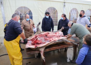 Los vecinos disfrutan de la matanza tradicional y la degustación de papatas meneás