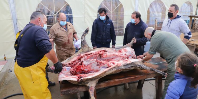 Los vecinos disfrutan de la matanza tradicional y la degustación de papatas meneás