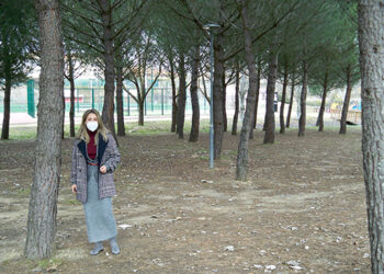 Tratamiento preventivo para minimizar los riesgos de la oruga procesionaria