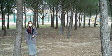 Tratamiento preventivo para minimizar los riesgos de la oruga procesionaria