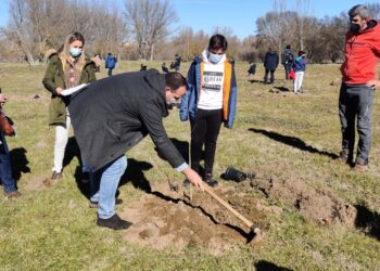 La Isla del Soto contará con 567 árboles que formarán ‘El bosque de los niños’