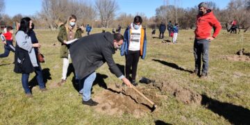 La Isla del Soto contará con 567 árboles que formarán ‘El bosque de los niños’