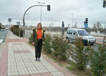 Renovación de la pantalla de setos de la avenida de La Serna para disminuir el ruido y mejorar la imagen