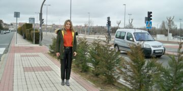 Renovación de la pantalla de setos de la avenida de La Serna para disminuir el ruido y mejorar la imagen