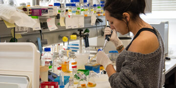 La Universidad ha obtenido 15 millones para la financiación de 37 proyectos de innovación e investigación con el programa ‘Horizonte 2020’