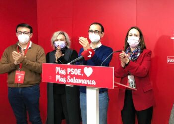 Serrada: «Estas elecciones vinieron pronto y mal y han abierto la puerta a la extrema derecha»