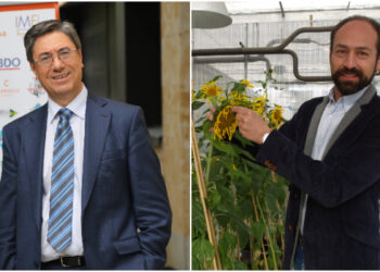 La Universidad recibe 800.000 euros para poner en marcha proyectos de internacionalización