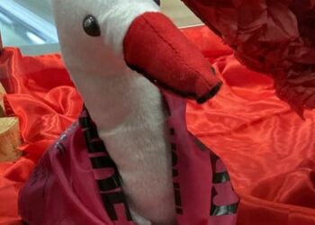 Vuelve la campaña de San Blas de la Asociación de Empresarios para promocionar el comercio local