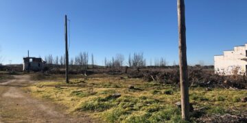 Primeros pasos para la creación del Recinto Ferial con la limpieza del terreno y retirada de maleza