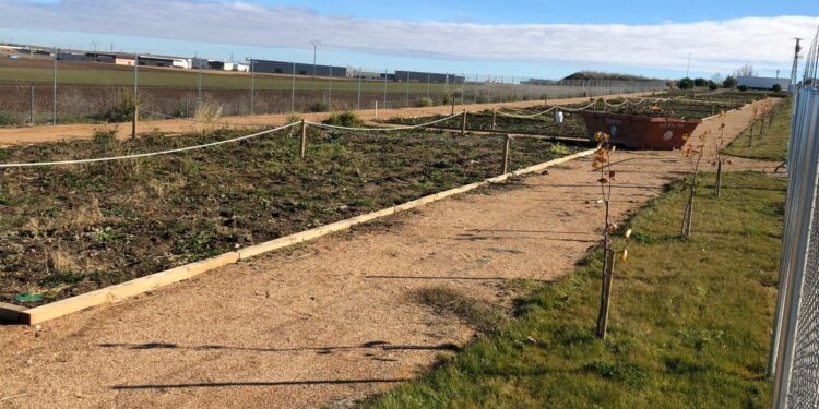 Los vecinos ya pueden solicitar un huerto urbano ecológico hasta el día 15