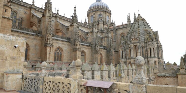 Ieronimus descubre los secretos de las bóvedas de la Catedral para celebrar su XX aniversario