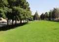 Salamanca repondrá la masa vegetal de la ciudad con 500 nuevos árboles