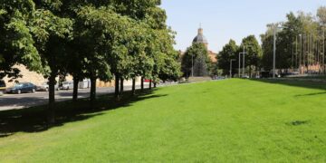 Salamanca repondrá la masa vegetal de la ciudad con 500 nuevos árboles