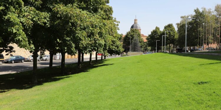 Salamanca repondrá la masa vegetal de la ciudad con 500 nuevos árboles