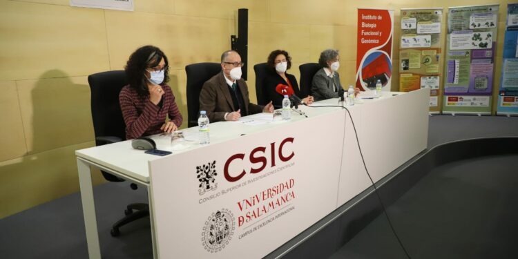 ‘Micromundo’, el proyecto pionero que busca antibióticos para combatir a bacterias multiresistentes