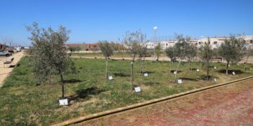 ‘El Bosque de los Niños’ amplía su masa vegetal con 44 nuevos árboles de los niños nacidos en 2019 y 2020
