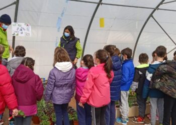 La AFE ‘Jardines de Doñinos’ y los escolares del CRA Domingo de Guzmán plantan dos ejemplares del ‘Árbol de Júpiter’