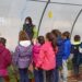 La AFE ‘Jardines de Doñinos’ y los escolares del CRA Domingo de Guzmán plantan dos ejemplares del ‘Árbol de Júpiter’