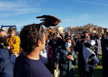 La animada exhibición de cetrería y el pasacalles de la charanga inician la 2ª Fiesta de la Primavera