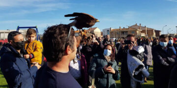 La animada exhibición de cetrería y el pasacalles de la charanga inician la 2ª Fiesta de la Primavera