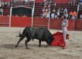 La Diputación destina 153.000 euros para la organización de festejos taurinos en los municipios de la provincia