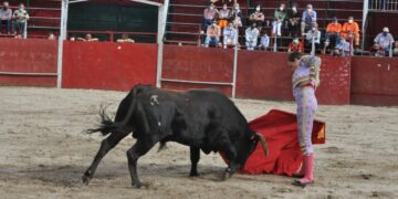 La Diputación destina 153.000 euros para la organización de festejos taurinos en los municipios de la provincia