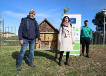 En marcha los ‘hoteles de insectos’ para controlar las plagas y facilitar la polinización