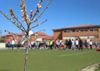 Recuperación de espacios naturales y plantaciones de árboles en el ‘pulmón verde’ de los salmantinos